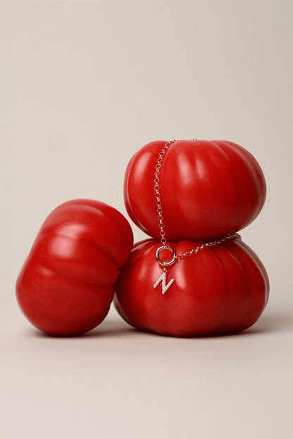 Classic Rolo Chain Necklace